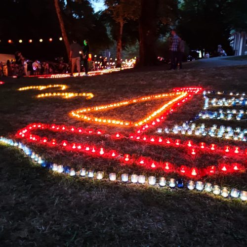 Enzbeleuchtung Lichter