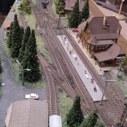 IMG_20241113_172602_969