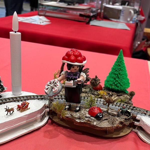 N_Bahn_International_2025-67