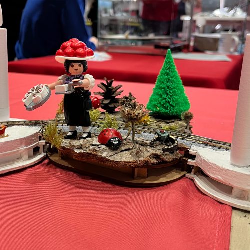 N_Bahn_International_2025-69